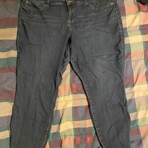 torrid Dark Indigo Skinny Jeans